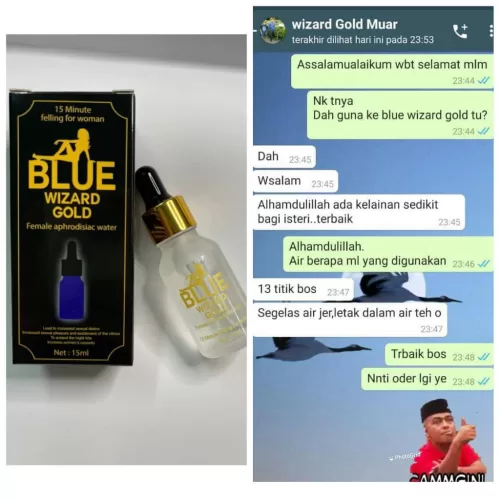 Testimoni Blue Wizard Gold 1 1