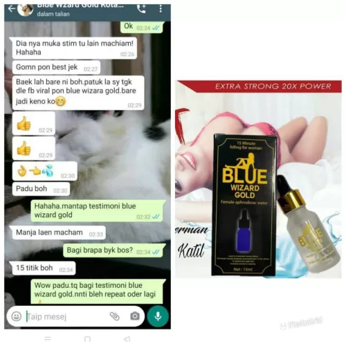 Testimoni Blue Wizard Gold 3 1